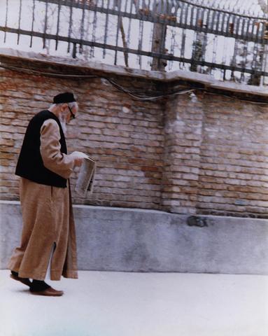 Picture of the author